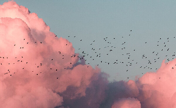 ภาพขนาดย่อ